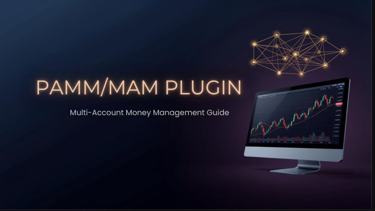 PAMM MAM plugin dashboard for forex broker multi-account money management