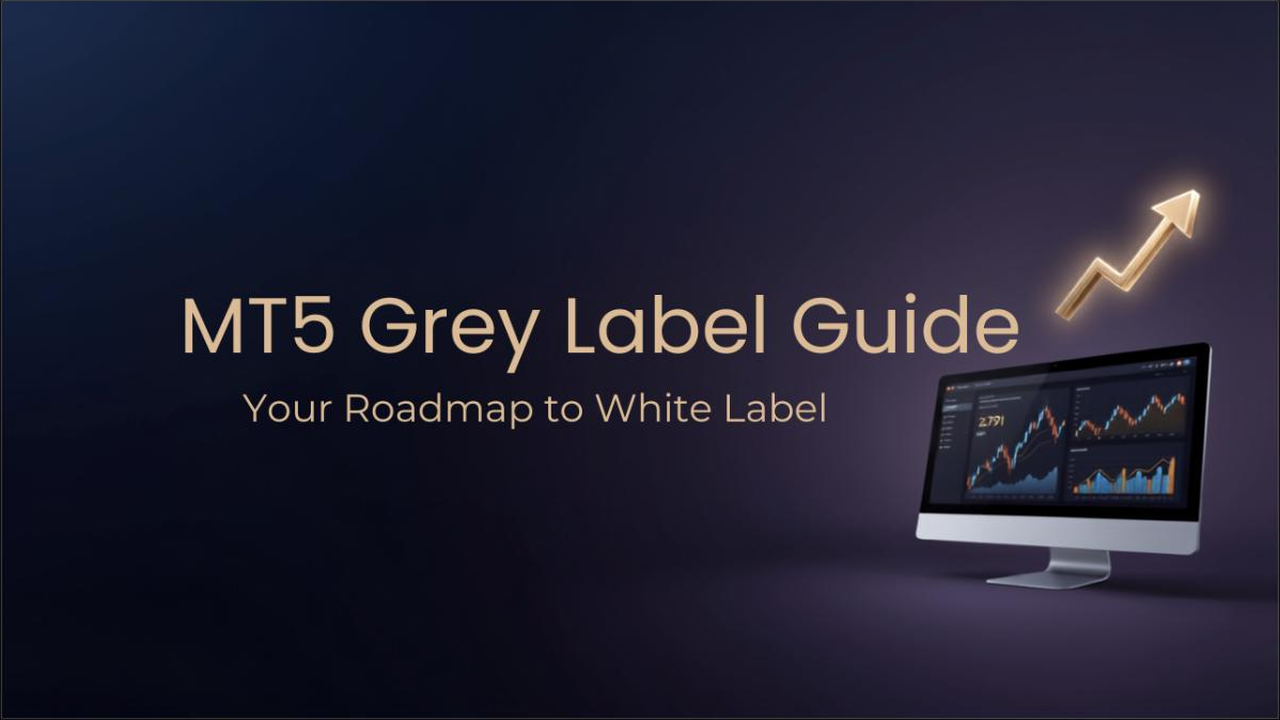 MT5 Grey Label to White Label migration roadmap dashboard illustration